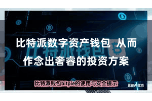 比特派数字资产钱包  从而作念出奢睿的投资方案